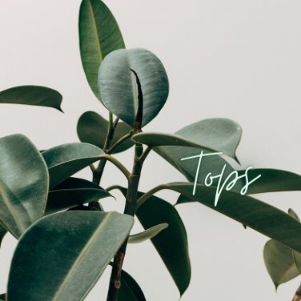 Tops